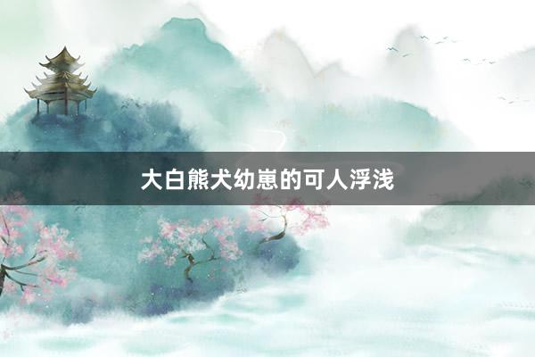 大白熊犬幼崽的可人浮浅